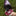 Texas A&M Rope Disc Dog Toy