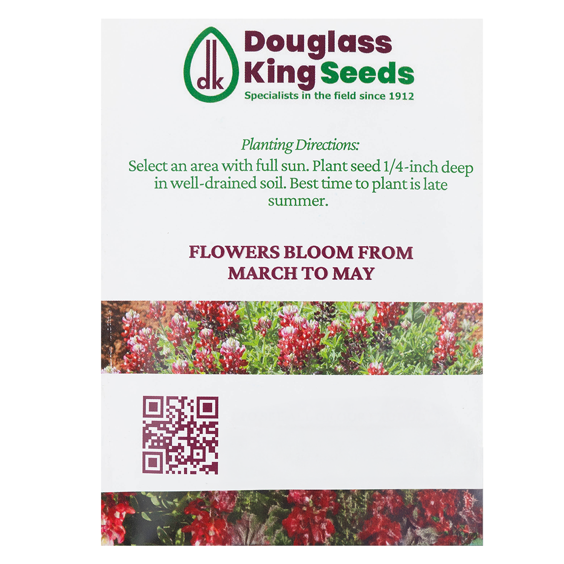Maroon Bluebonnet Seeds