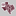 Texas A&M Aggies Get Fit Texas Sticker