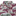 Texas A&M Scenic Button Down