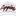 Texas A&M '47 Brand 5 Panel Structured Condor Rope Cap - White