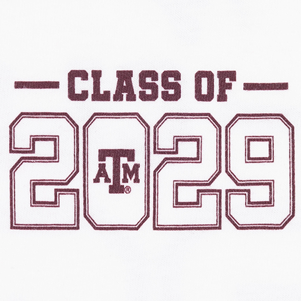 Texas A&M Aggies Class of 2029 Skyline T-Shirt
