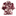 A short-sleeve button-up blouse with a burgundy and cream floral print, featuring puff sleeves and a scalloped hem, shown against a plain white background.