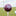 Texas A&M Aggie Maroon Golf Ball