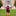 Texas A&M Collegiate Outfitters Toddler Overalls - Maroon