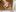 Jon Hart Pocket Pouch