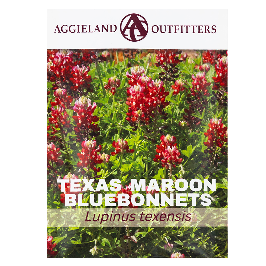 Bag full of maroon bluebonnet seeds