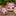Texas A&M Spirit Stakes Medium Plant Stake