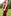 Texas A&M KADYLUXE Pocket iLeggings