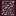 Texas A&M University Traditions T-Shirt - Maroon