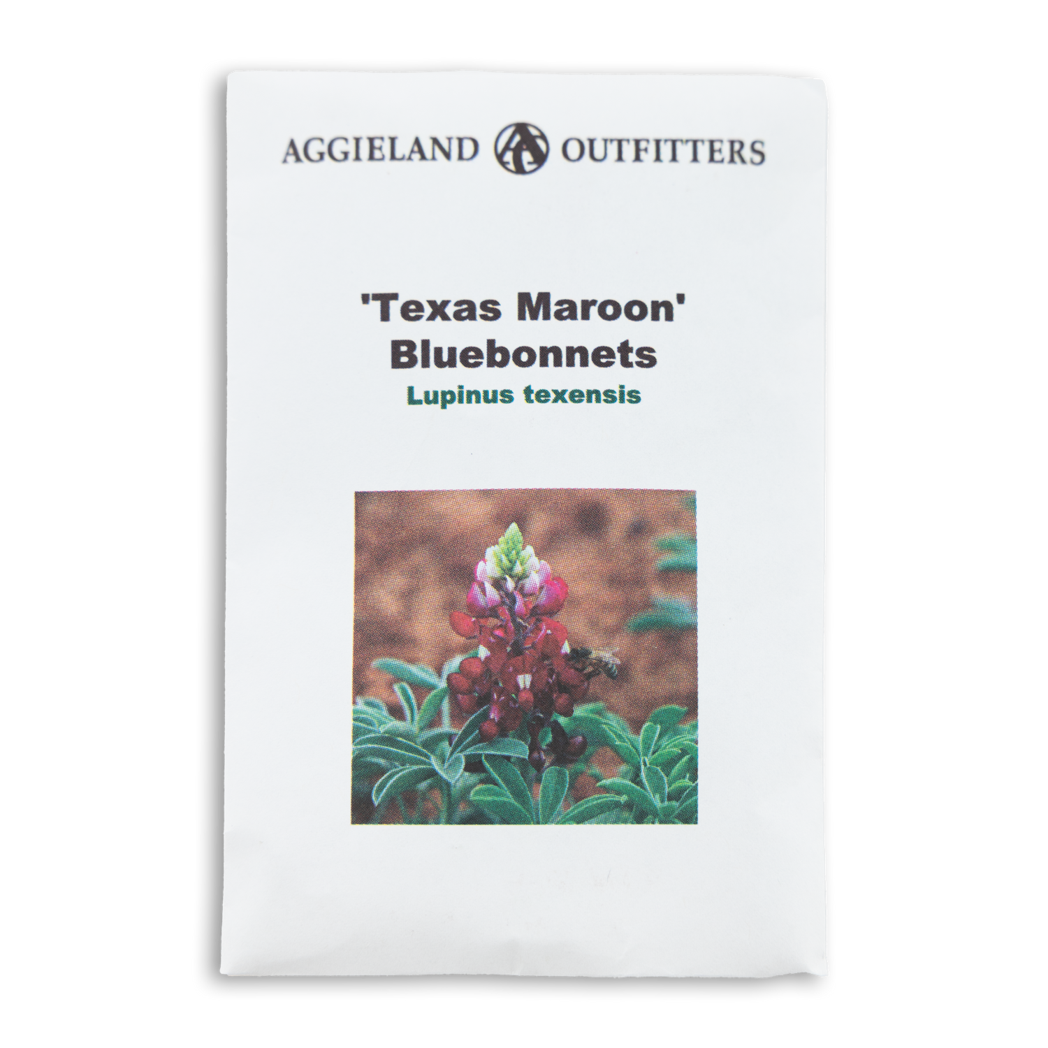 Maroon Bluebonnet Seeds