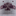 Texas A&M Charperone Vault Sarge Cap