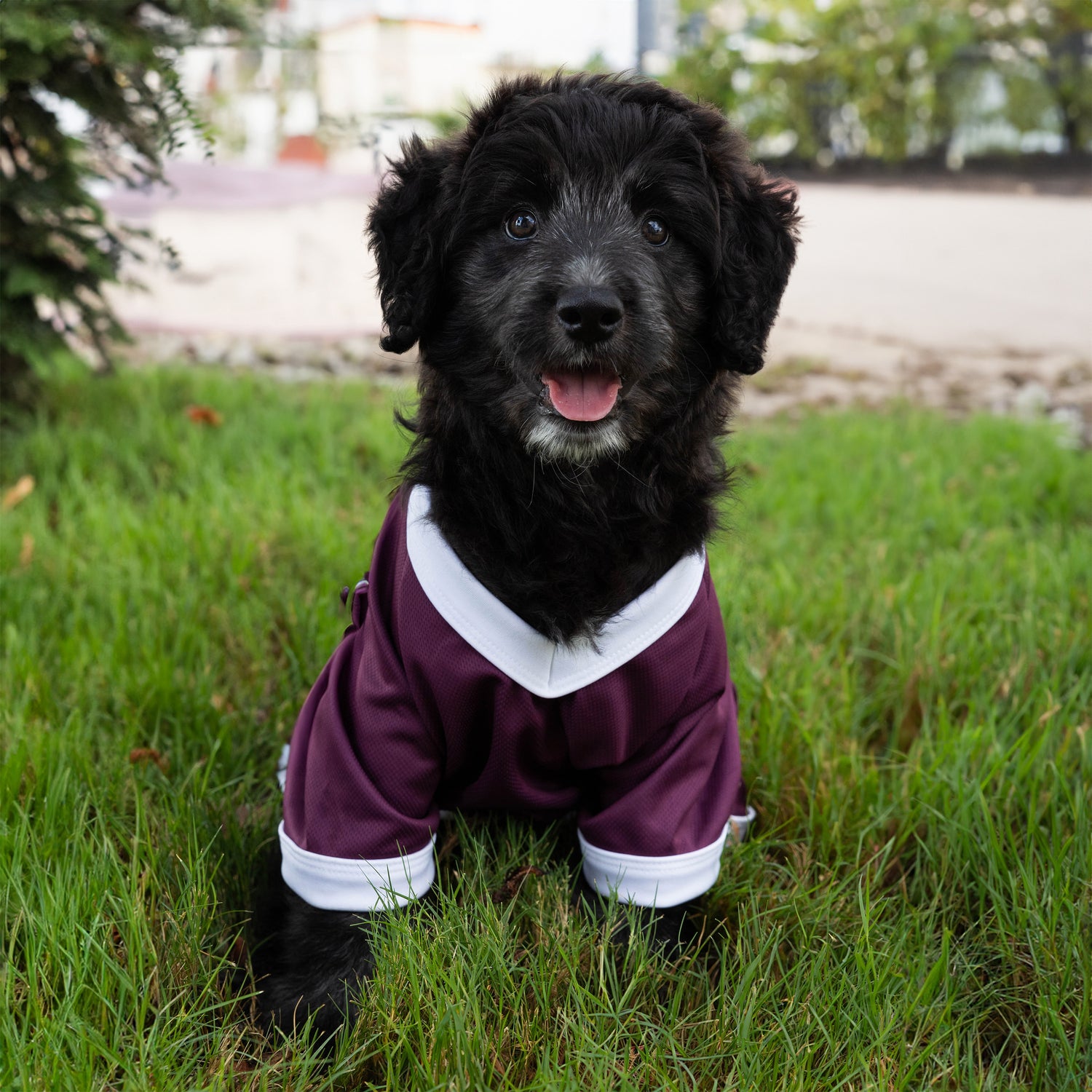 Texas A M Dog Mesh Jersey