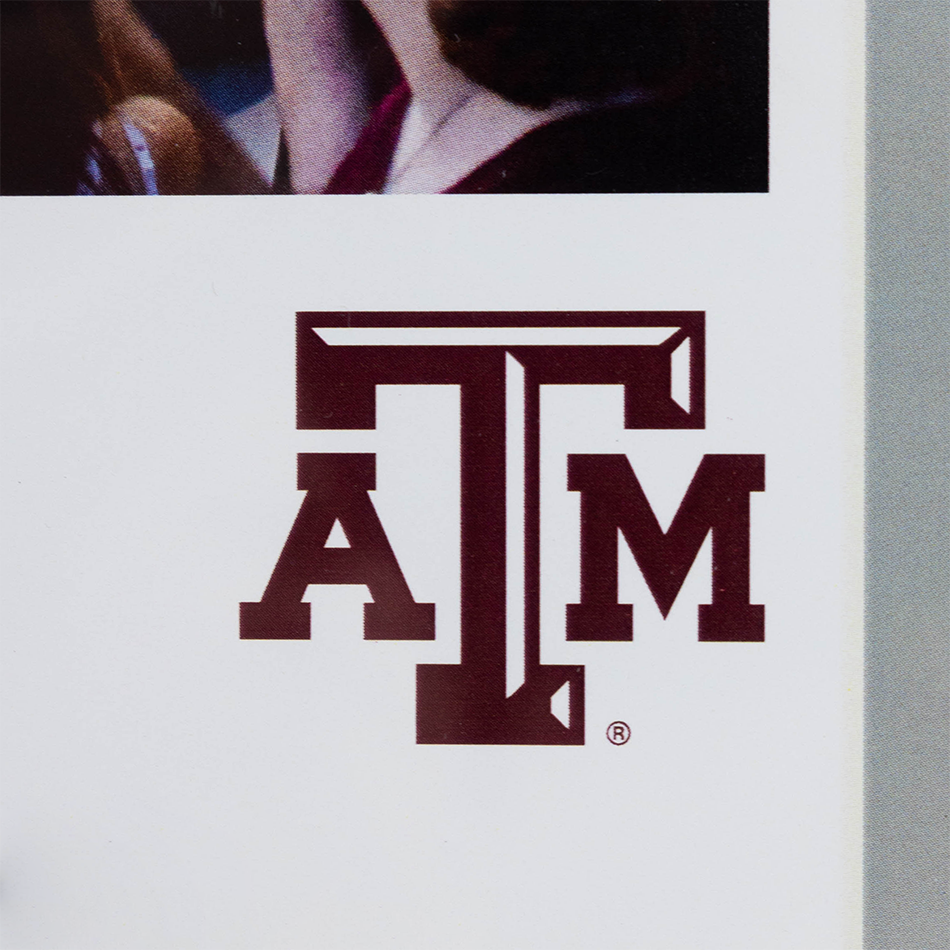Texas A&M Kyle Field Dusk Panoramic Deluxe