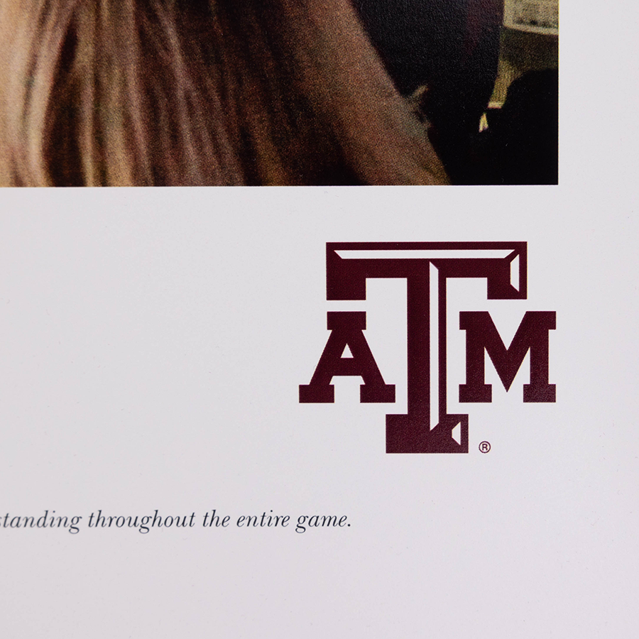 Texas A&M Kyle Field Night Panoramic Deluxe