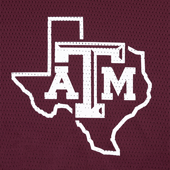 Texas A&M Adidas Womens Maroon Lonestar Crop Jersey