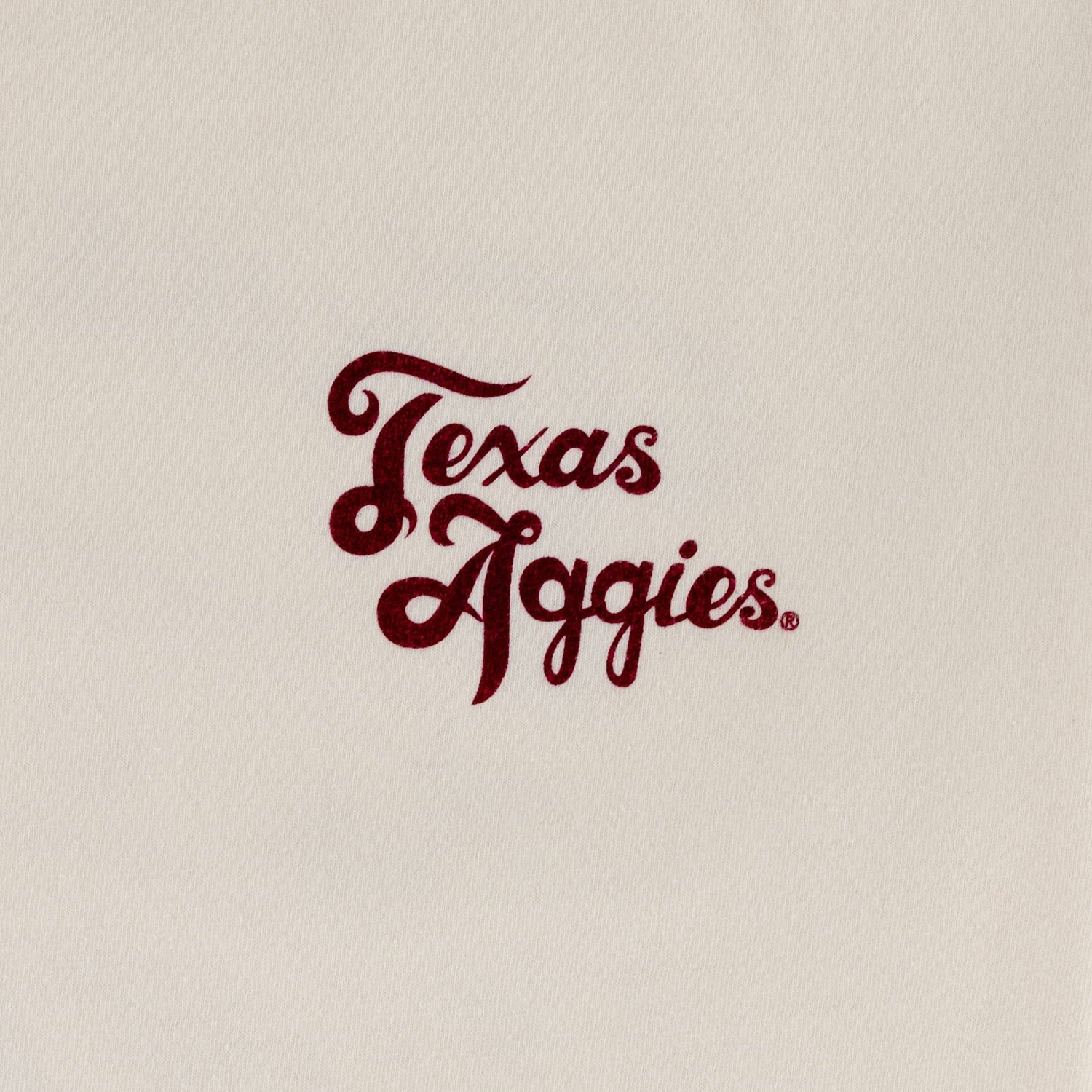 Texas A&M Aggies College of Texas