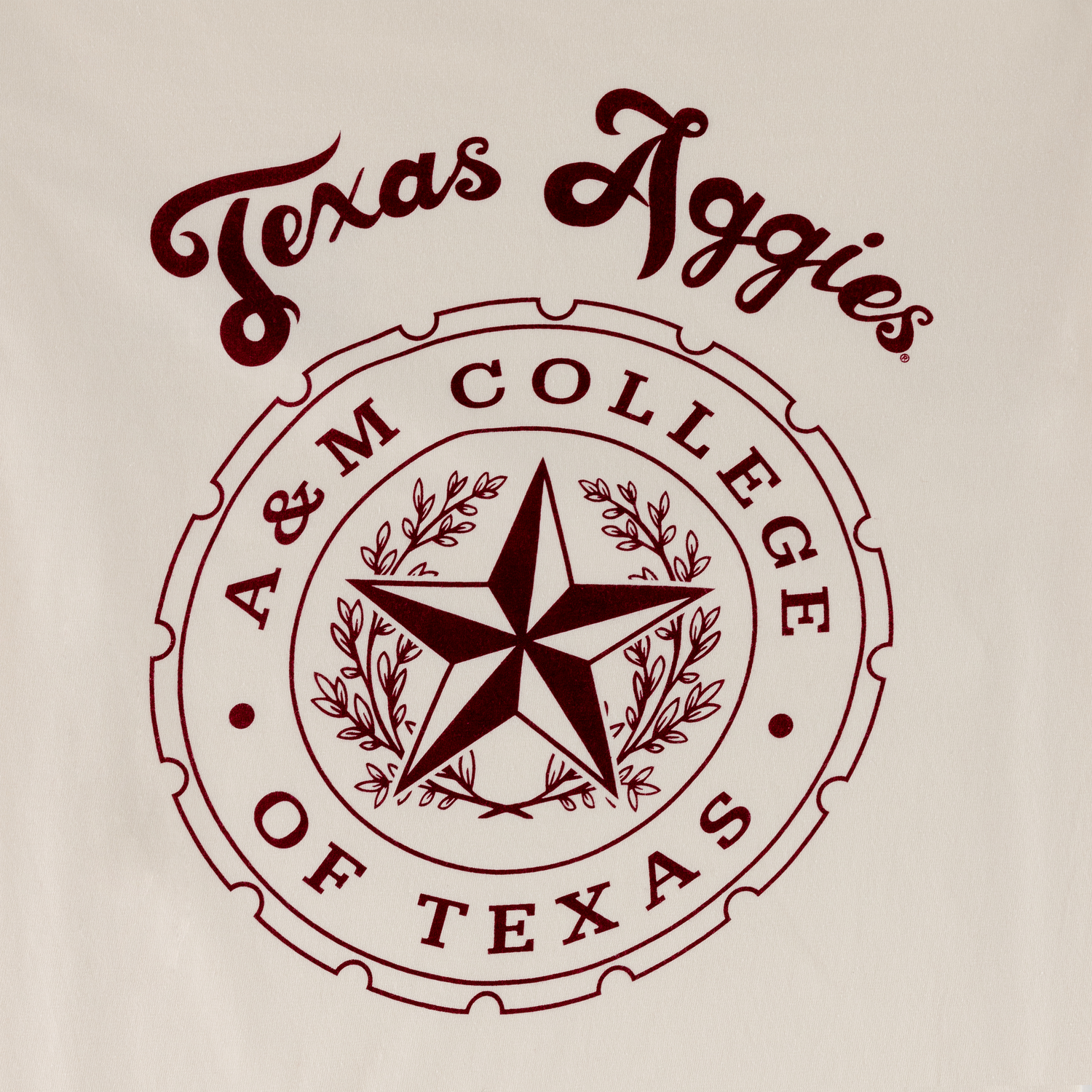Texas A&M Aggies College of Texas