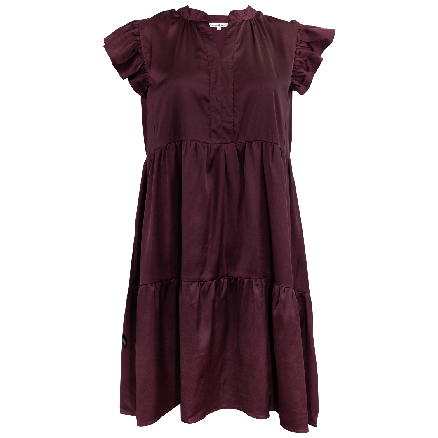 Ruffle Sleeved Silky Dress