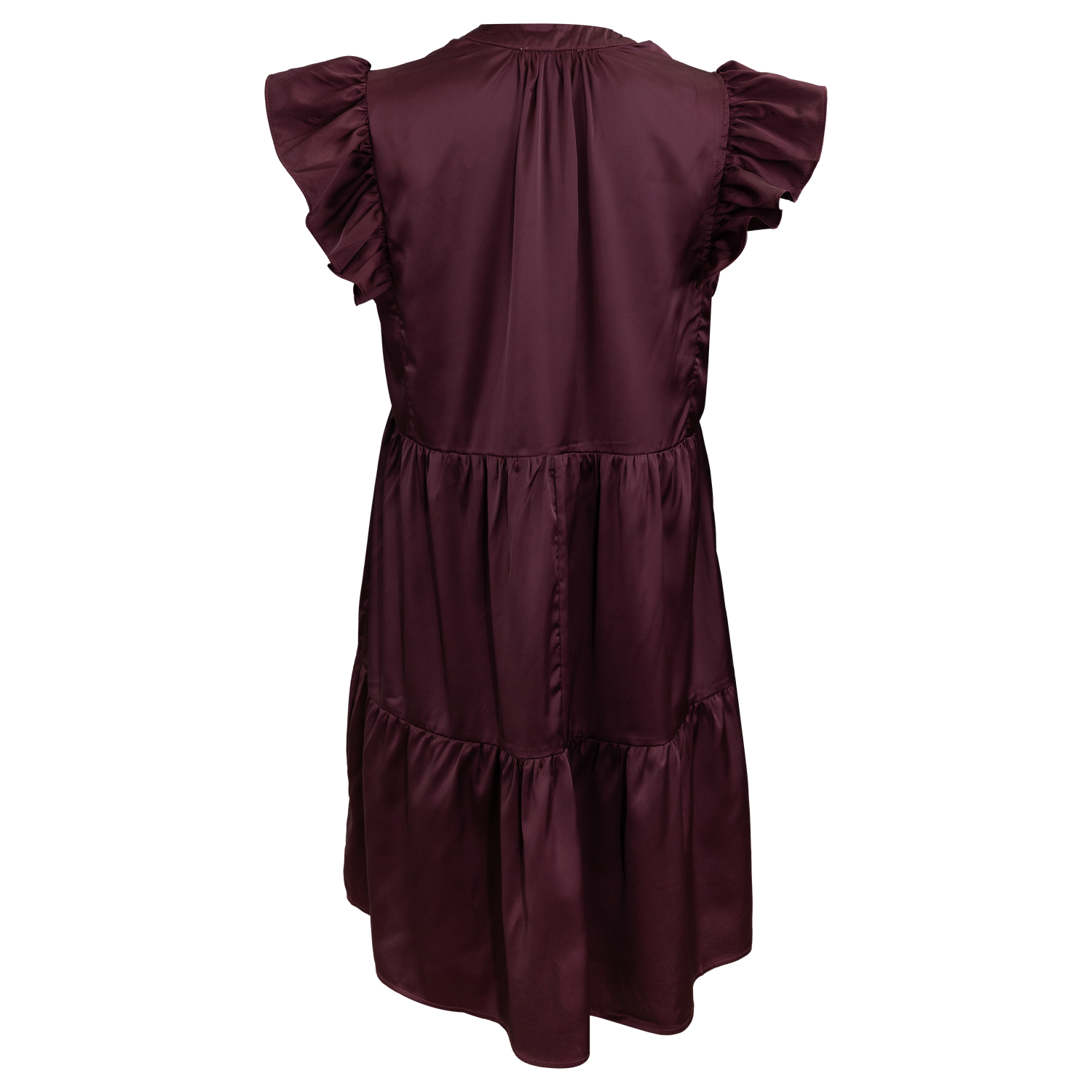 Ruffle Sleeved Silky Dress