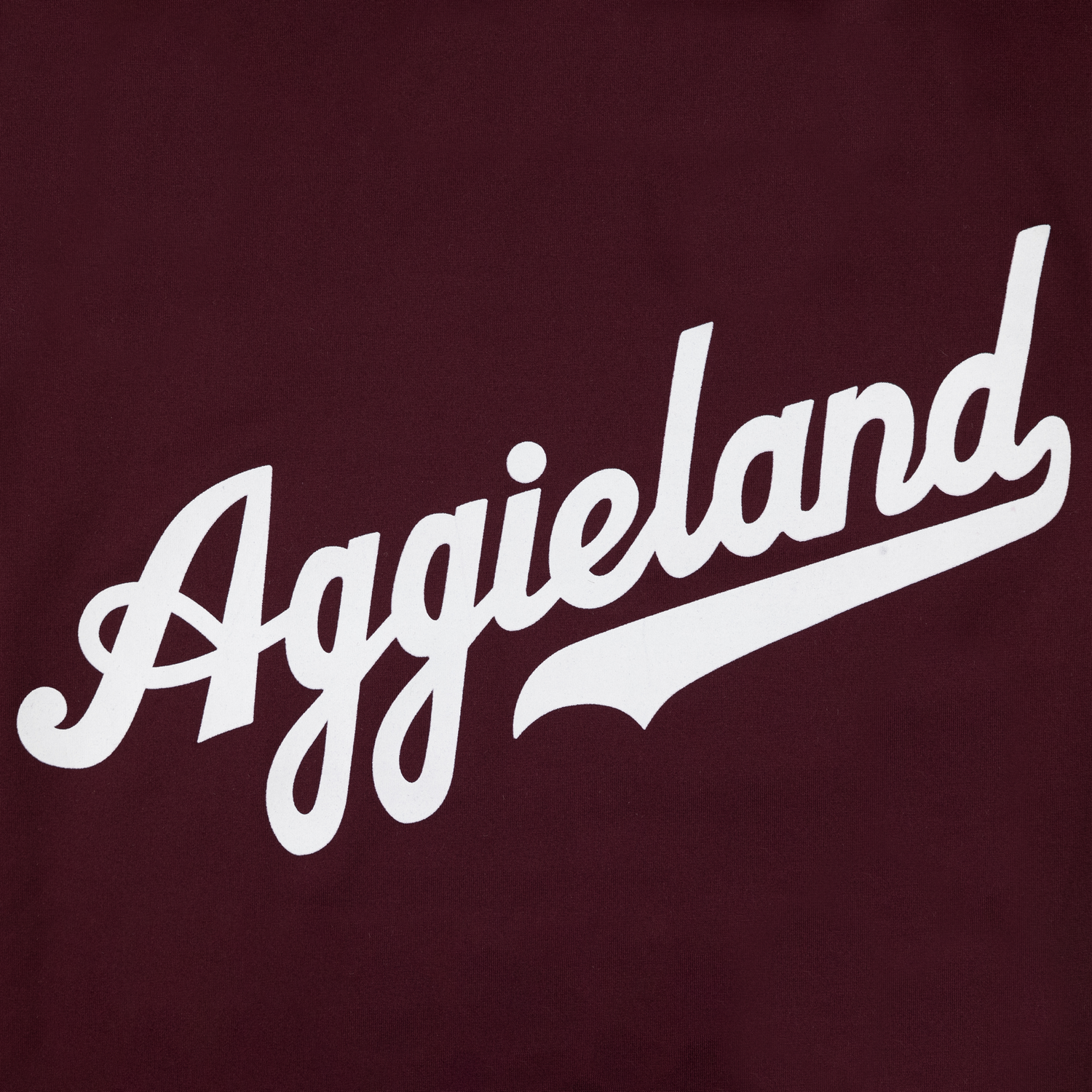 Aggieland Swoosh T-Shirt