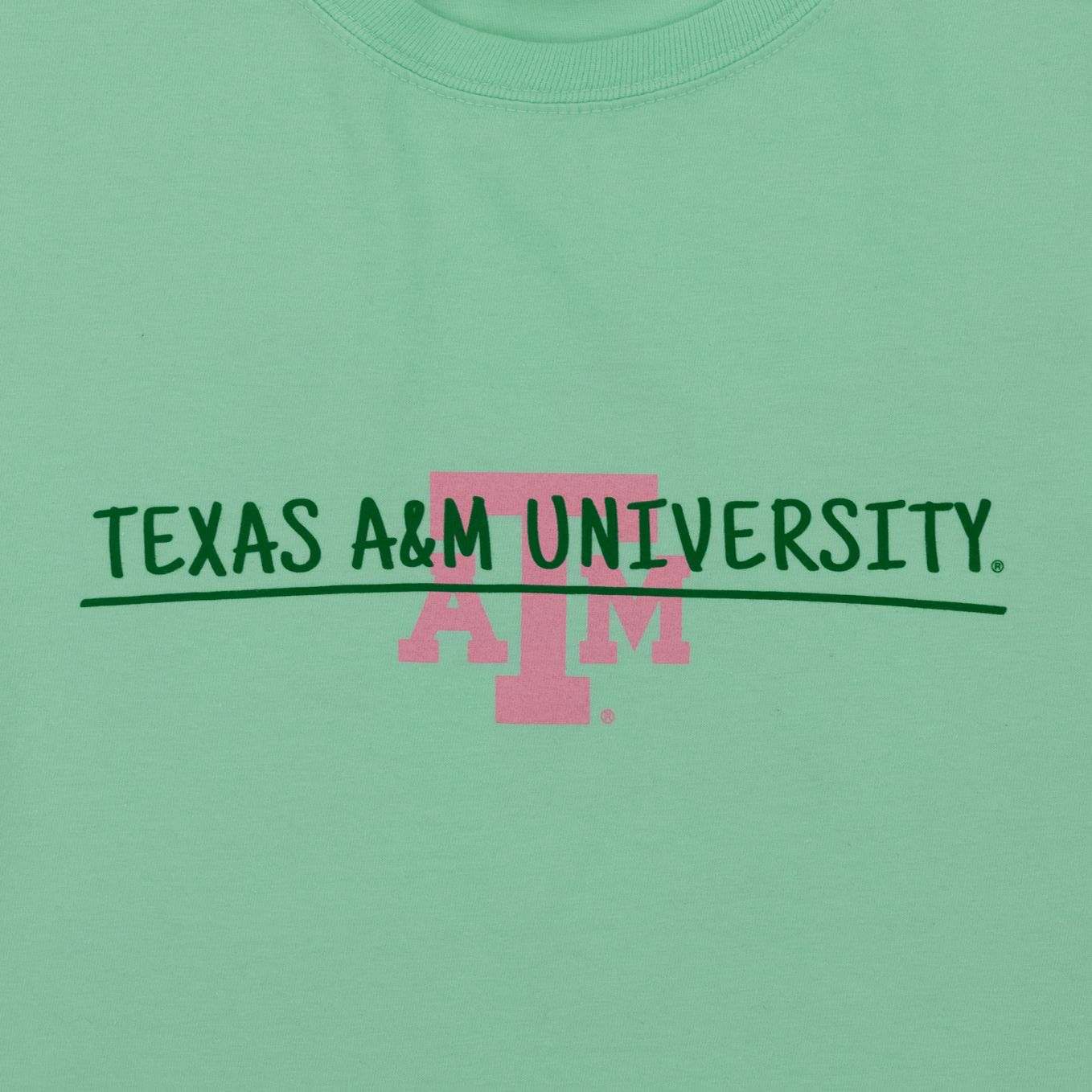 Texas A&M University Buildings T-Shirt