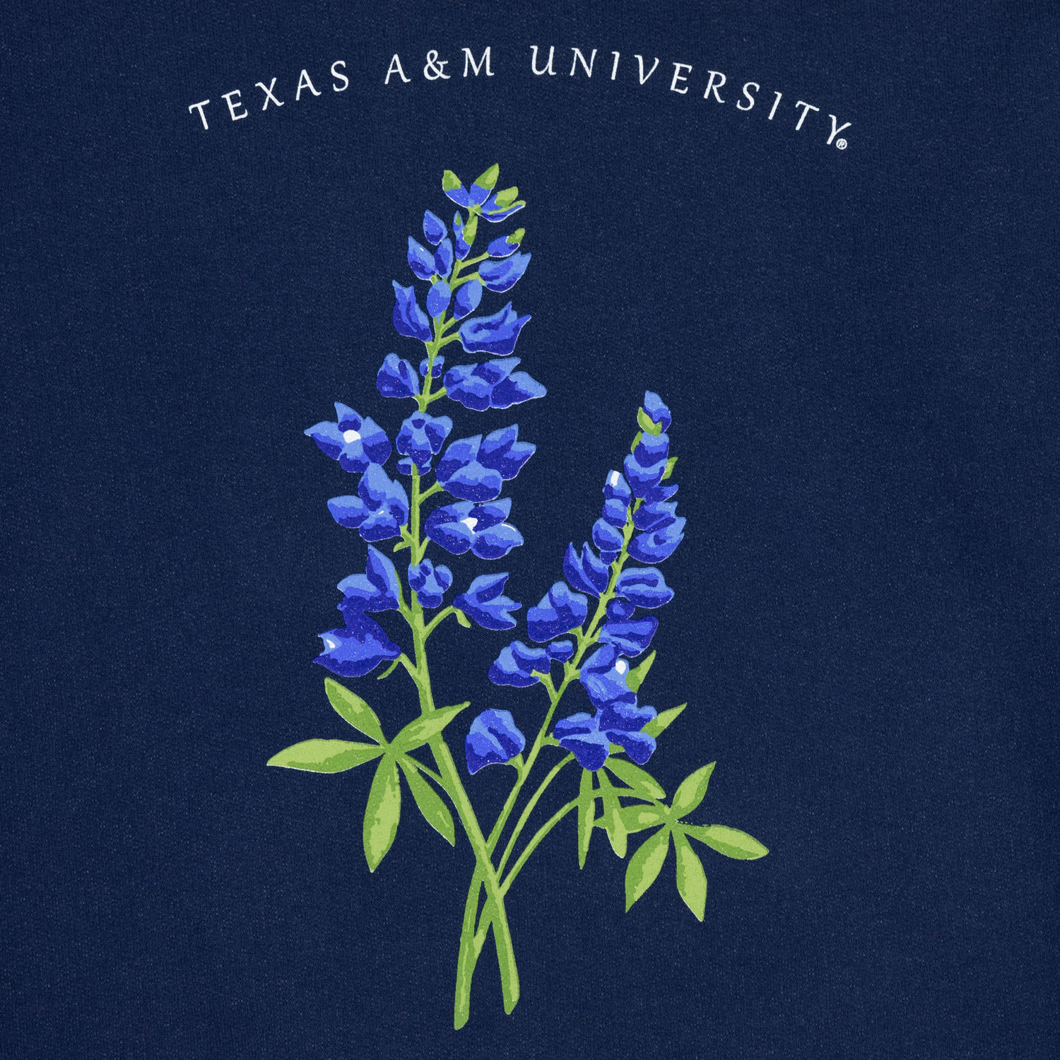 Texas A&M University Bluebonnets Sweatshirt