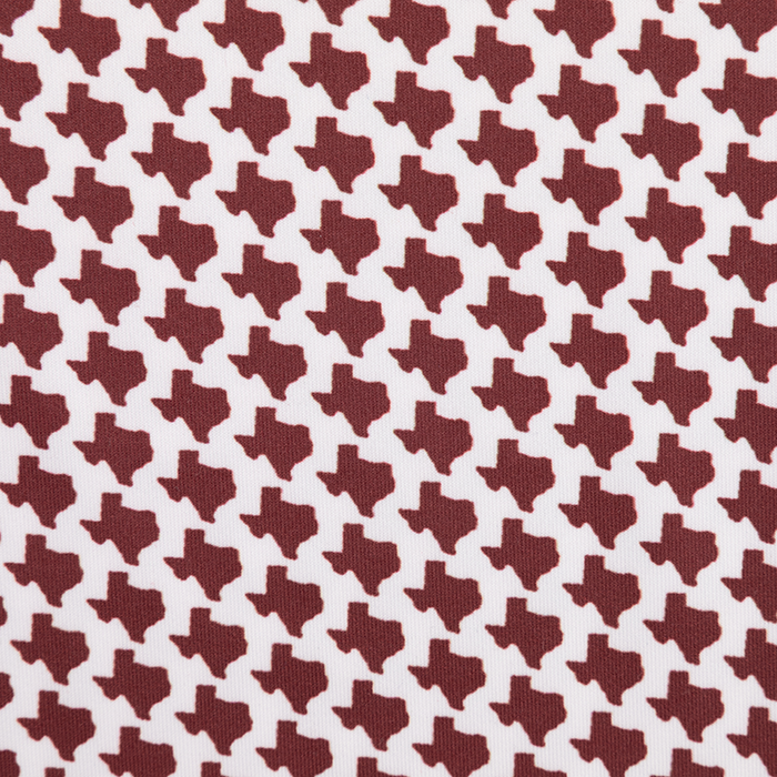 Collegiate Outfitters Texas Print Polo