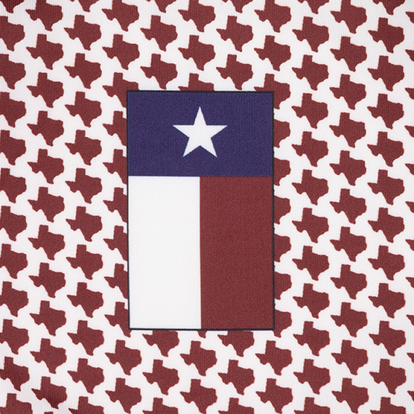 Collegiate Outfitters Texas Print Polo
