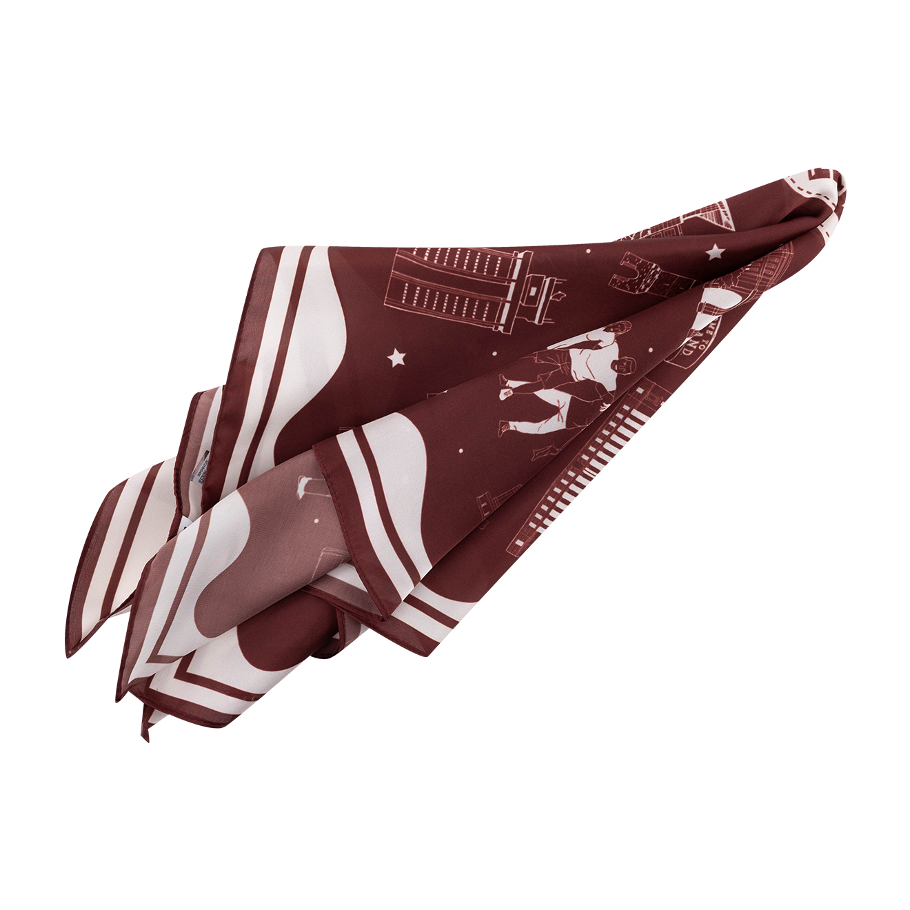Texas A&M Collage Scarf