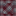 Texas A&M Aggies Oversized Plaid Button Down