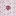 Texas A&M Youth All Over FB Polo