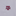 Texas A&M Tommy Bahama The Big Score Button Down