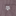 Texas A&M Antigua Porter Micro Check Button Down