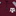 Texas A&M Colosseum Ice King 1/4 Zip Windshirt