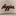 Khaki Script Aggies Hat