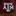 Texas A&M Nutty Bunch Squirrel