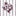 Script Aggies Adidas Pinstripe Cropped Jersey
