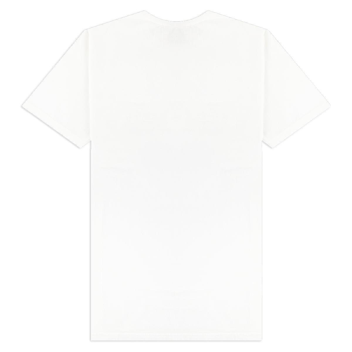 Aggies Comfort Colors Retro 1876 T-Shirt