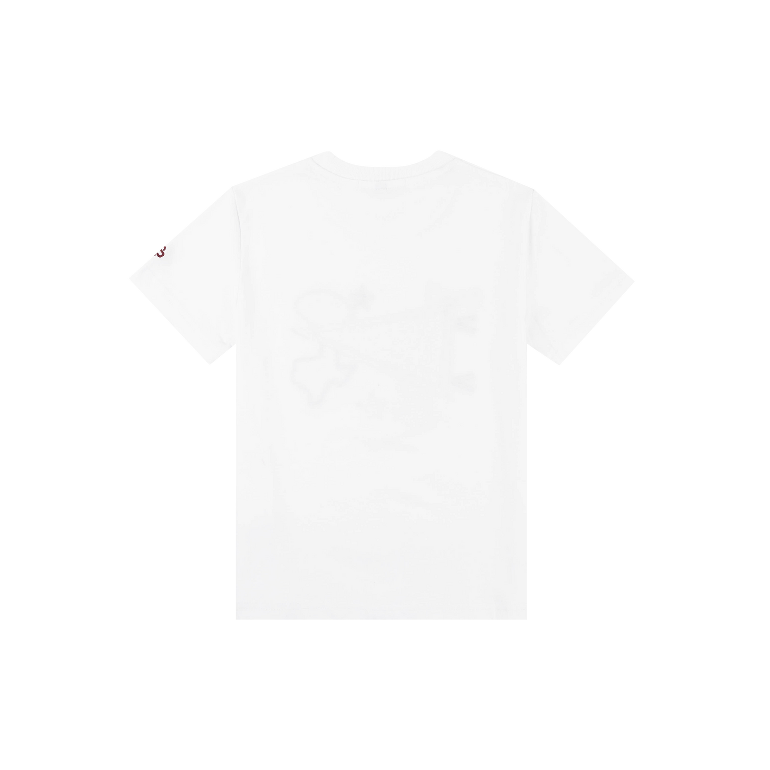 Aggies Youth Pennant T-shirt