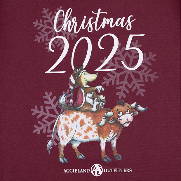2025 Remi Christmas Long Sleeve T-Shirt