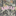 Aggies Cotton Collective Pink Camo Crewneck