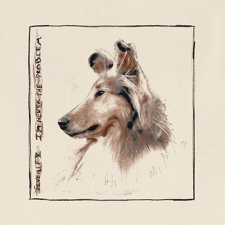 Reveille I'm Never The Problem Comfort Colors T-Shirt