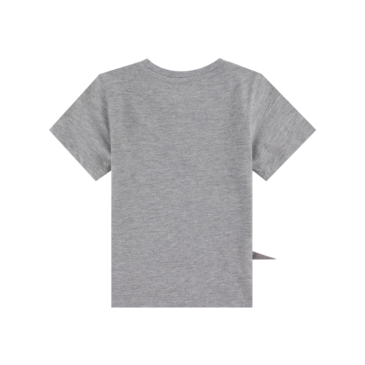 Texas A&M Wild Dino Toddler Tee - Gray