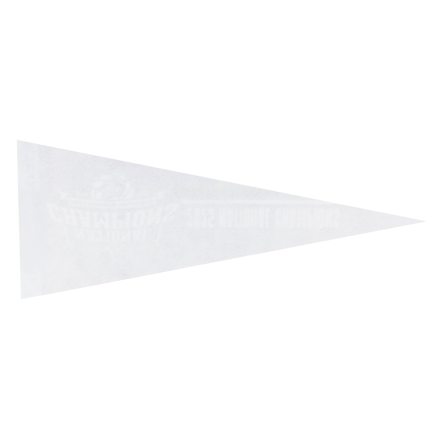 2025 Texas A&M Volleyball National Champs Pennant