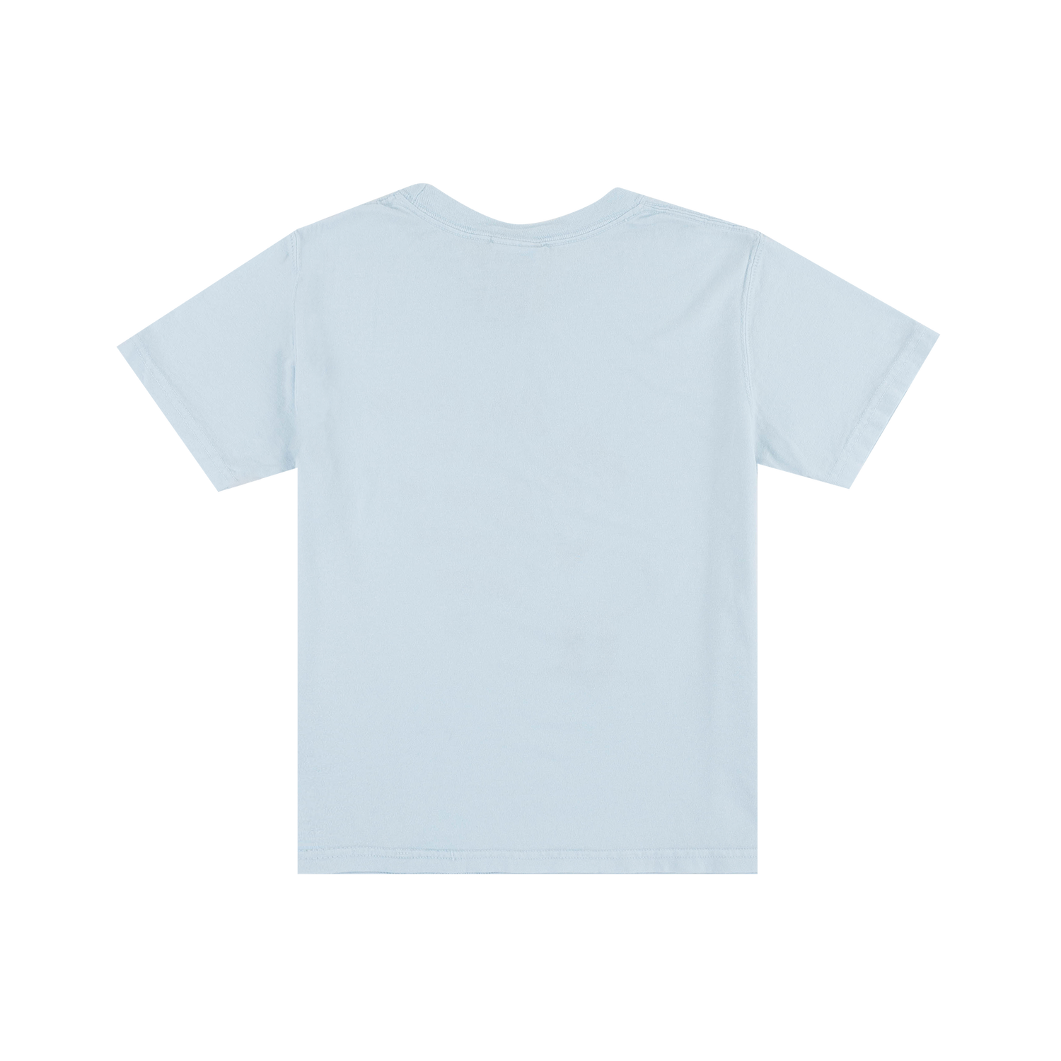 Silly Goose Baby Blue Youth T-Shirt