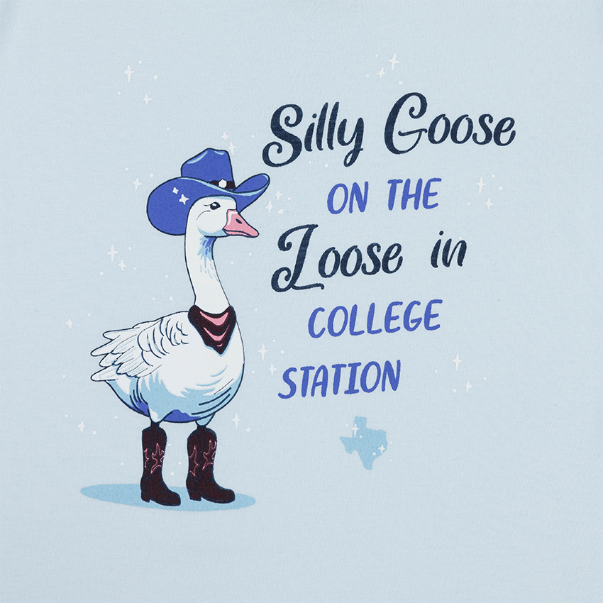 Silly Goose Baby Blue Youth T-Shirt