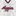 Script Aggies Shine Jersey - White
