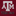 Texas A&M Stewart Simmons Youth Sequin Jersey Tee - Maroon