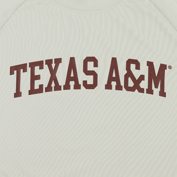 Texas A&M Collegiate Outfitters Arch T-Shirt - Gray